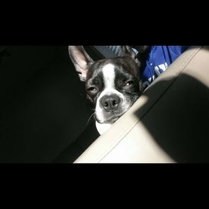 Meet your Posher, Robert